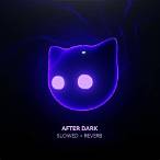 bet after dark (slowed + reverb)